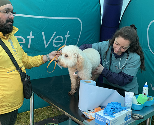 Vet examining a dog